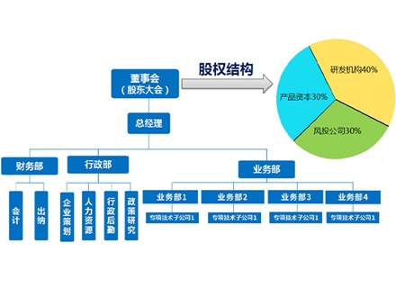 organizational structure